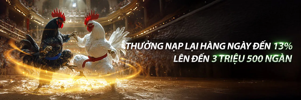 Sân đấu đá gà trực tuyến sôi động tại jiun88 code